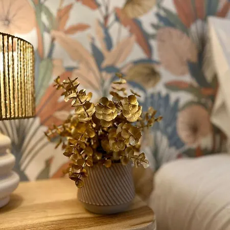 Apartamento Le Triangle D'or - Elegance & Confort -