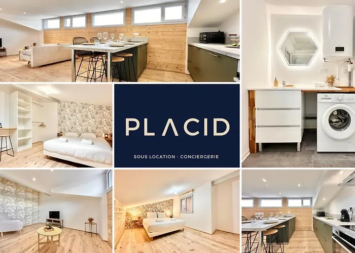 Apartment Le Triangle D'or - Elegance & Confort - Mont-de-Marsan