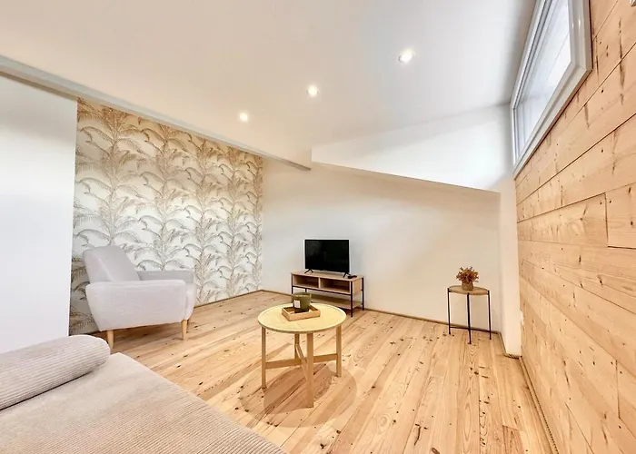 Le Triangle D'or - Elegance & Confort - Apartment Mont-de-Marsan