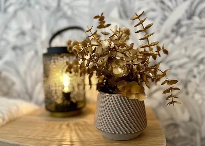 Apartment Le Triangle D'or - Elegance & Confort -